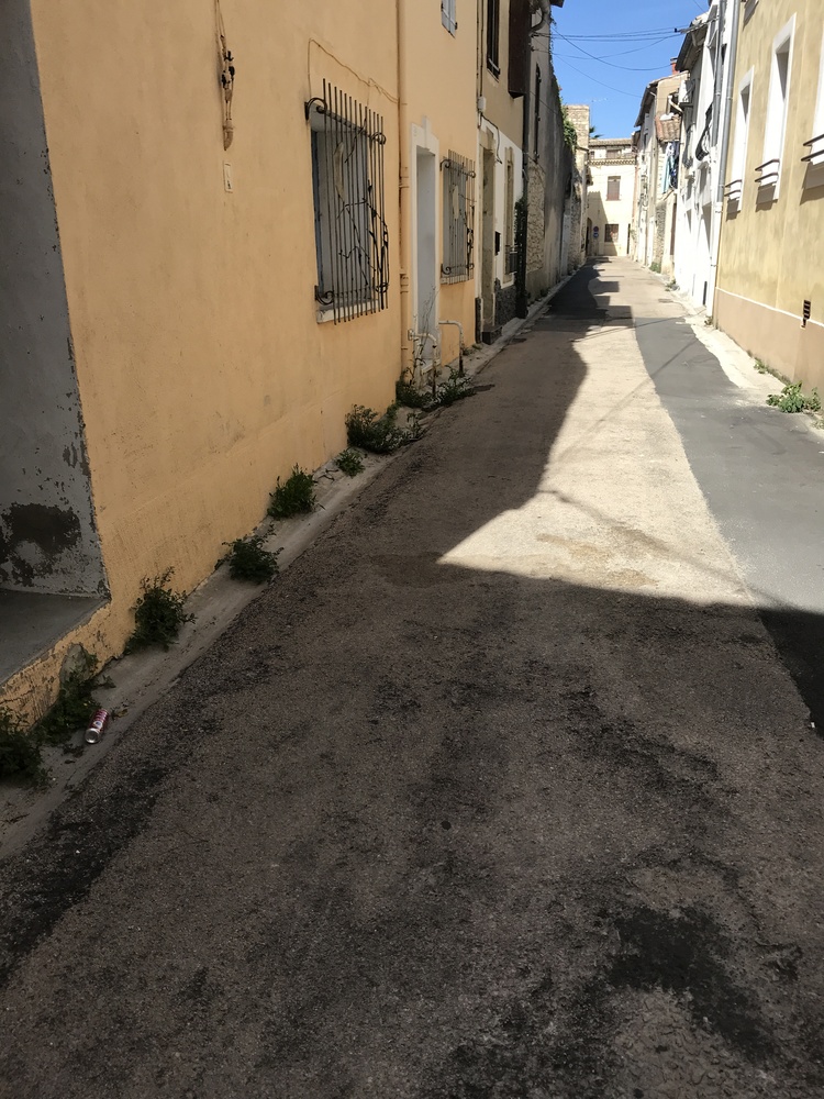 diagnostic en marchant centre ville